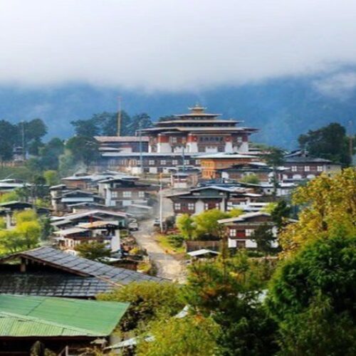 Gangtey Trek