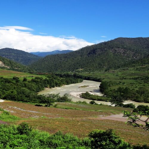 Jigme Dorji National Park